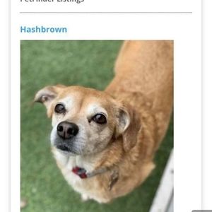 Meet your Posher, Marylynn